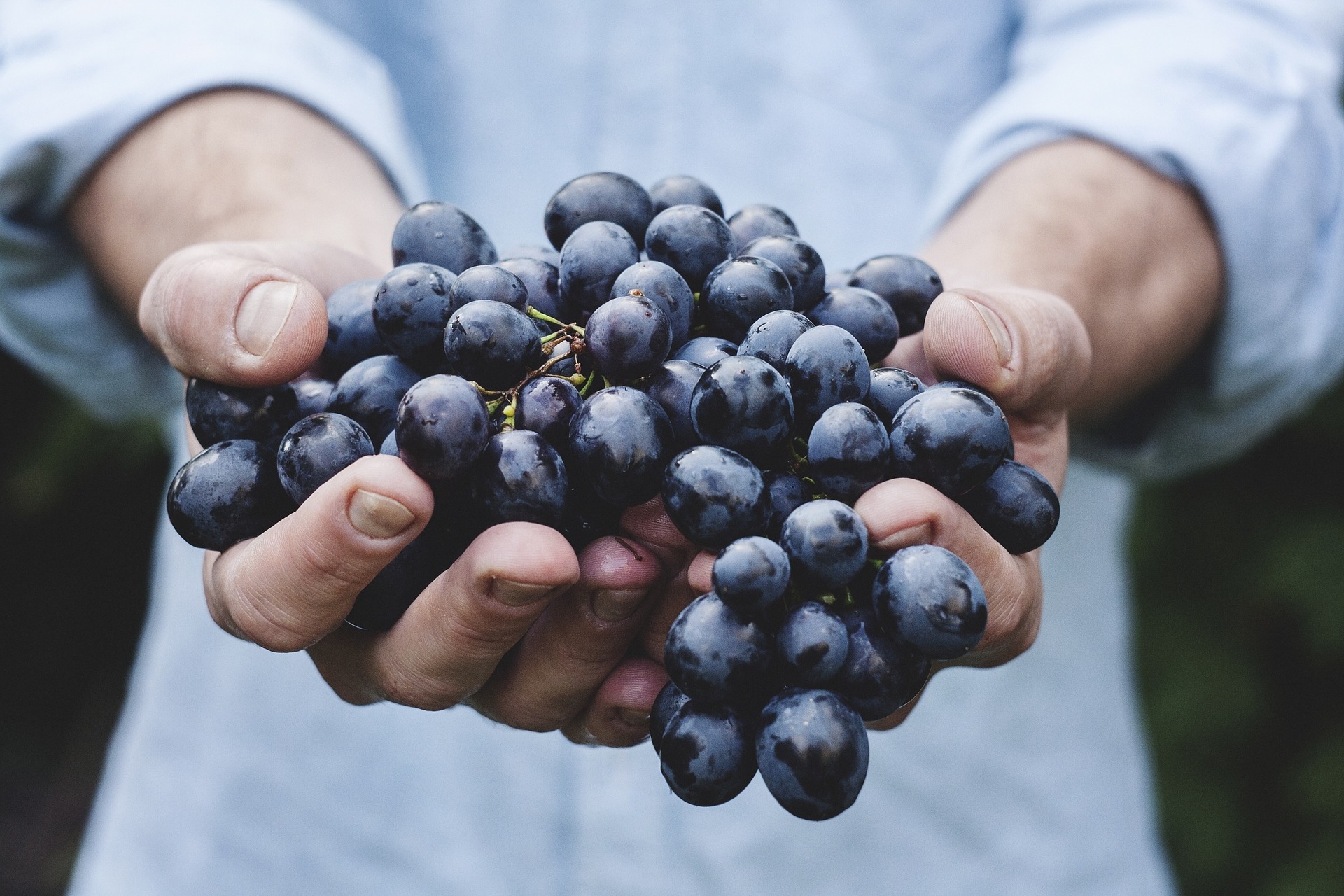 Food Systems