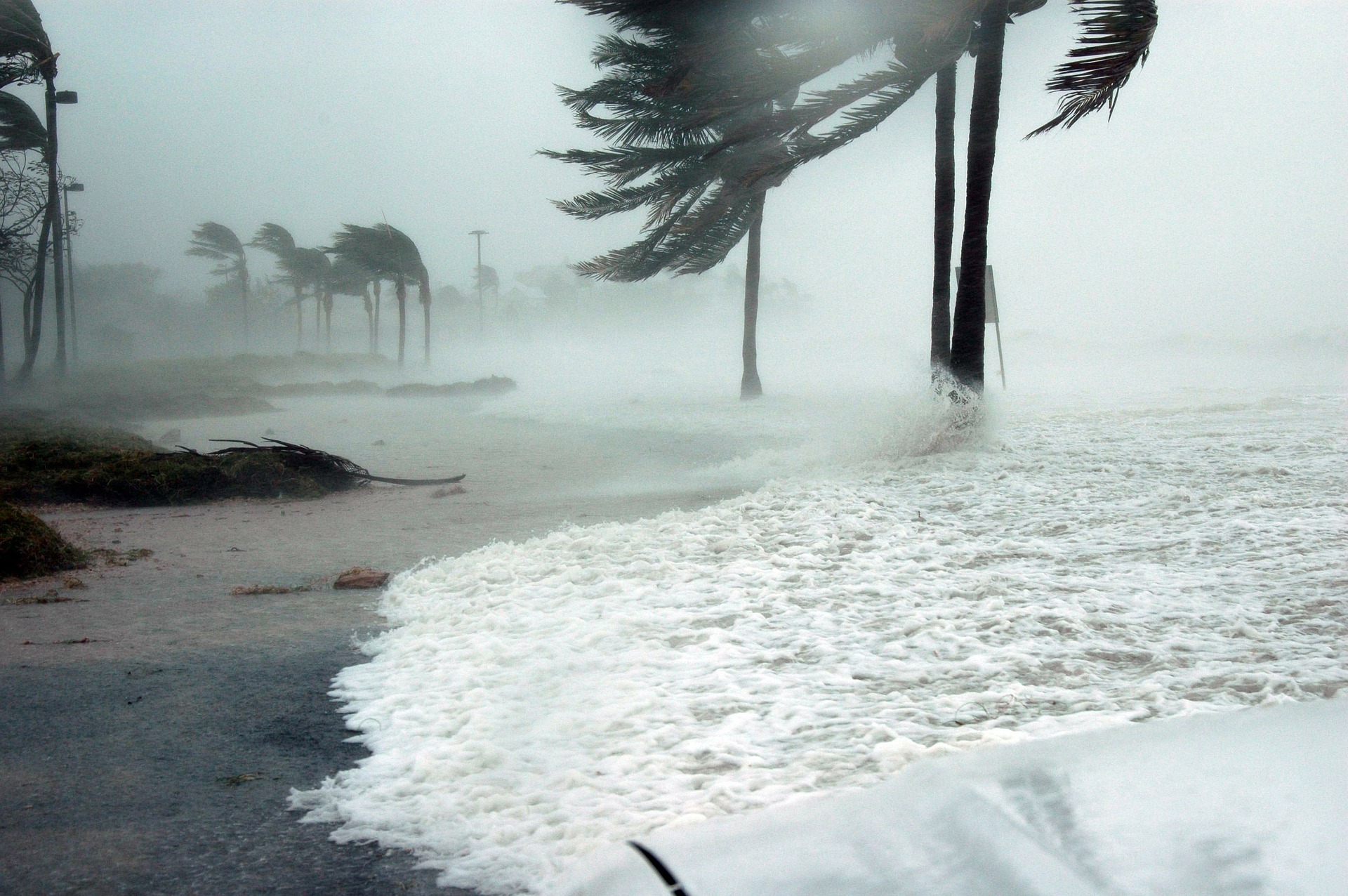 TWIST: Yes it's climate change, but it's also us