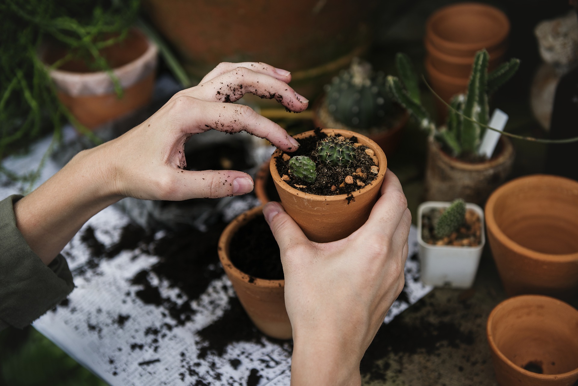 Urban community gardens can improve city life